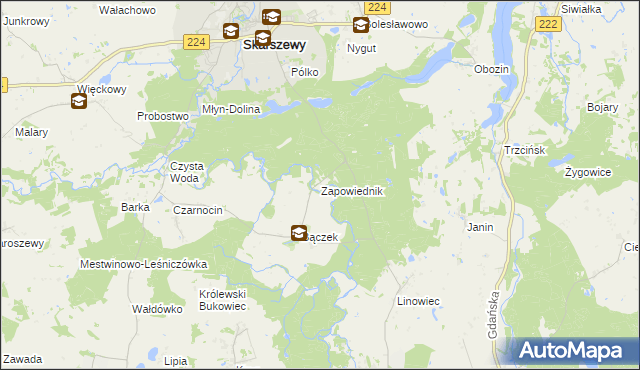 mapa Zapowiednik gmina Skarszewy, Zapowiednik gmina Skarszewy na mapie Targeo