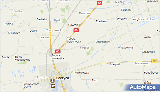 mapa Kozuby gmina Łęczyca, Kozuby gmina Łęczyca na mapie Targeo
