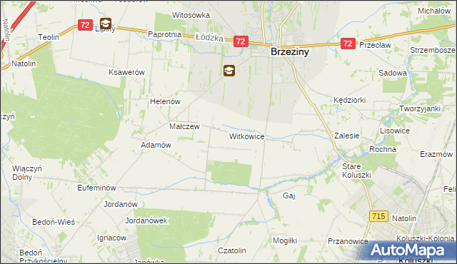 mapa Witkowice gmina Brzeziny, Witkowice gmina Brzeziny na mapie Targeo
