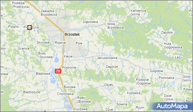 mapa Januszkowice gmina Brzostek, Januszkowice gmina Brzostek na mapie Targeo