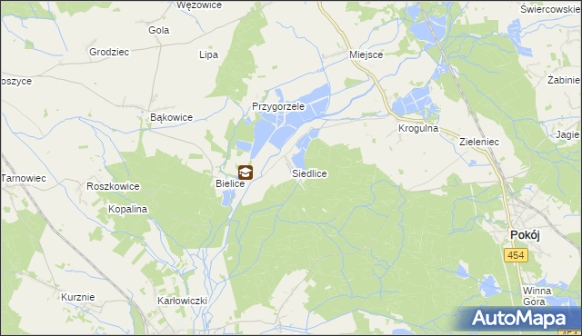 mapa Siedlice gmina Pokój, Siedlice gmina Pokój na mapie Targeo