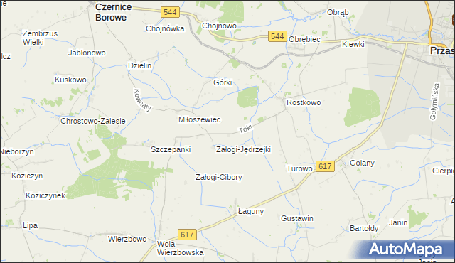 mapa Toki gmina Czernice Borowe, Toki gmina Czernice Borowe na mapie Targeo