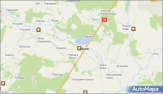 mapa Borki powiat radzyński, Borki powiat radzyński na mapie Targeo