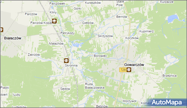 mapa Borowiec gmina Gowarczów, Borowiec gmina Gowarczów na mapie Targeo