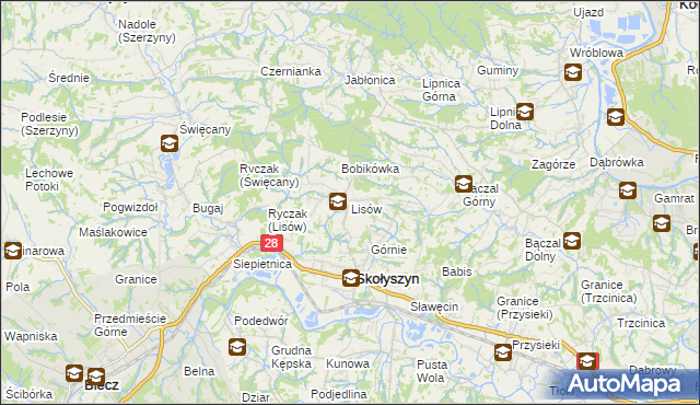 mapa Lisów gmina Skołyszyn, Lisów gmina Skołyszyn na mapie Targeo