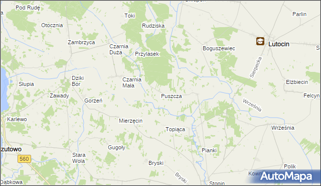 mapa Puszcza gmina Rościszewo, Puszcza gmina Rościszewo na mapie Targeo
