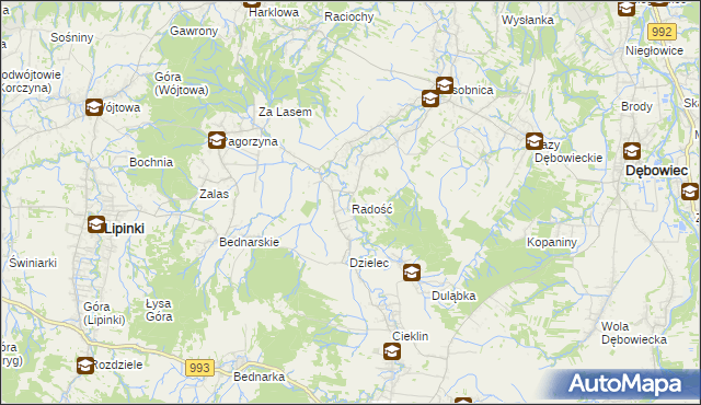 mapa Radość gmina Dębowiec, Radość gmina Dębowiec na mapie Targeo