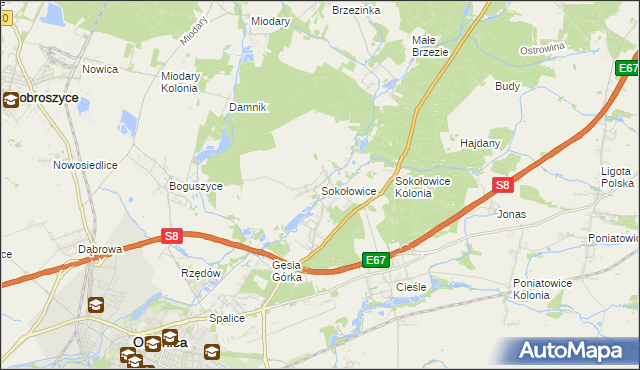 mapa Sokołowice gmina Oleśnica, Sokołowice gmina Oleśnica na mapie Targeo