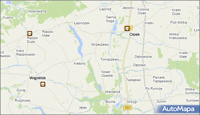 mapa Tomaszewo gmina Osiek, Tomaszewo gmina Osiek na mapie Targeo