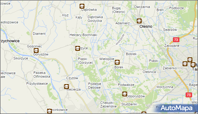 mapa Wielopole gmina Olesno, Wielopole gmina Olesno na mapie Targeo