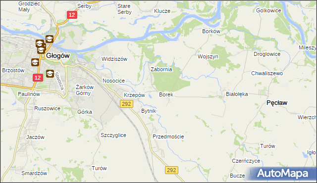 mapa Borek gmina Głogów, Borek gmina Głogów na mapie Targeo