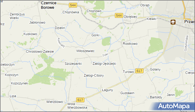 mapa Toki gmina Czernice Borowe, Toki gmina Czernice Borowe na mapie Targeo