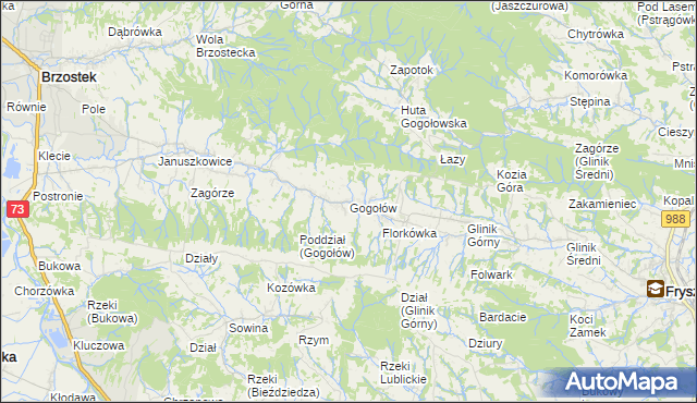 mapa Gogołów gmina Frysztak, Gogołów gmina Frysztak na mapie Targeo