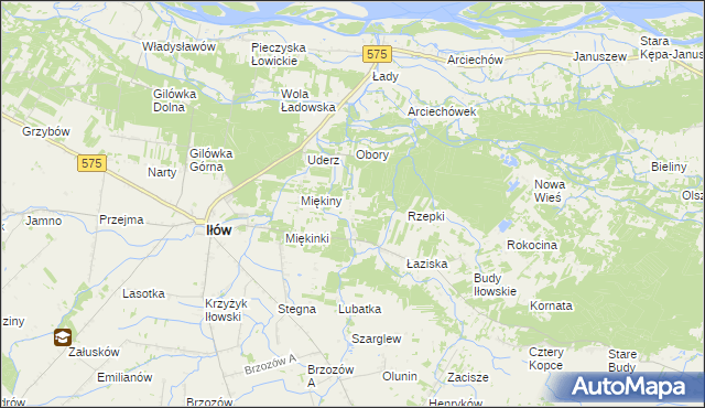 mapa Leśniaki gmina Iłów, Leśniaki gmina Iłów na mapie Targeo