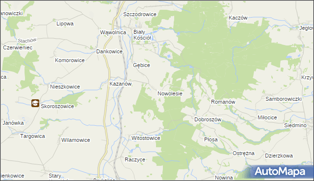 mapa Nowolesie, Nowolesie na mapie Targeo