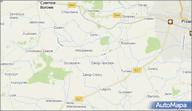 mapa Toki gmina Czernice Borowe, Toki gmina Czernice Borowe na mapie Targeo