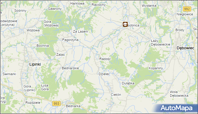 mapa Radość gmina Dębowiec, Radość gmina Dębowiec na mapie Targeo