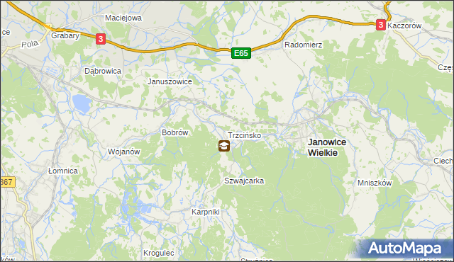 mapa Trzcińsko, Trzcińsko na mapie Targeo