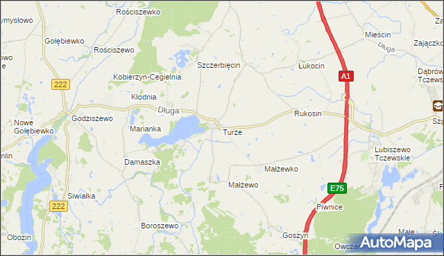 mapa Turze gmina Tczew, Turze gmina Tczew na mapie Targeo