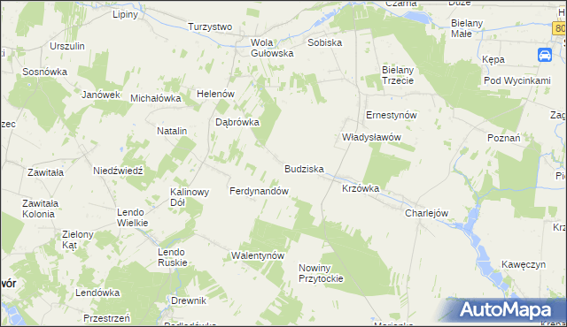 mapa Budziska gmina Adamów, Budziska gmina Adamów na mapie Targeo