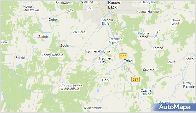 mapa Trzciniec Duży, Trzciniec Duży na mapie Targeo