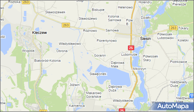mapa Goraninek gmina Ślesin, Goraninek gmina Ślesin na mapie Targeo