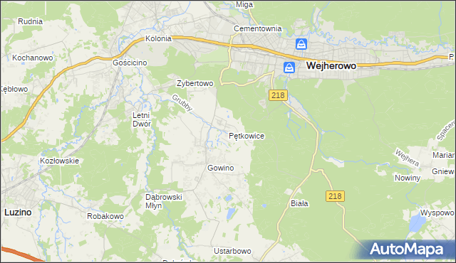 mapa Pętkowice gmina Wejherowo, Pętkowice gmina Wejherowo na mapie Targeo