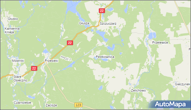 mapa Pestkownica, Pestkownica na mapie Targeo