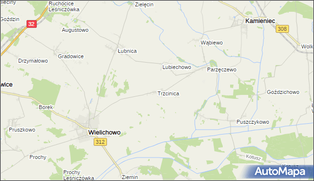 mapa Trzcinica gmina Wielichowo, Trzcinica gmina Wielichowo na mapie Targeo