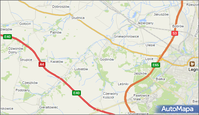 mapa Goślinów, Goślinów na mapie Targeo