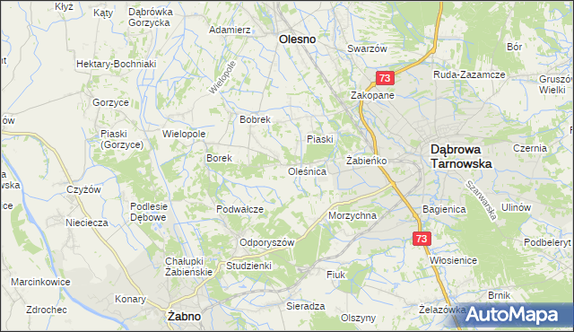 mapa Oleśnica gmina Olesno, Oleśnica gmina Olesno na mapie Targeo