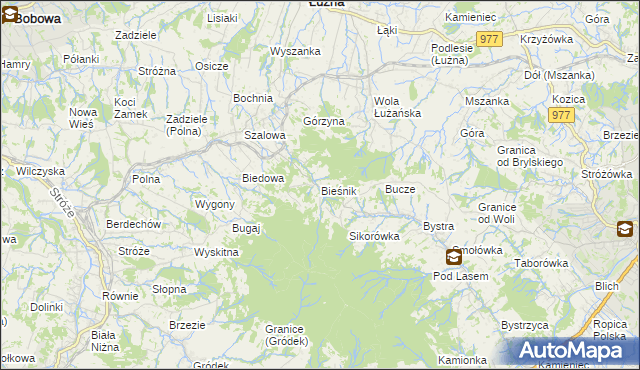 mapa Bieśnik gmina Łużna, Bieśnik gmina Łużna na mapie Targeo
