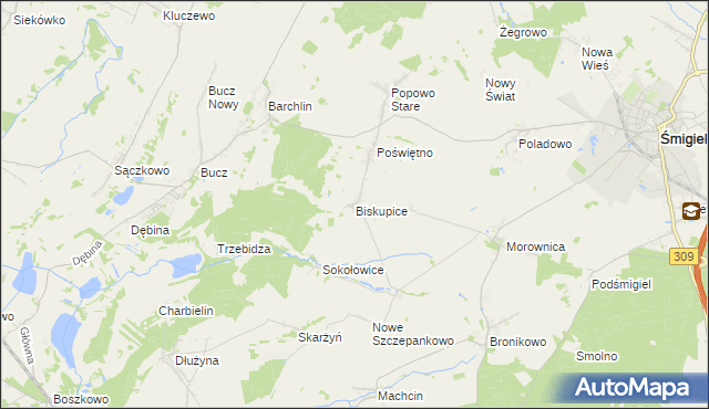 mapa Biskupice gmina Przemęt, Biskupice gmina Przemęt na mapie Targeo