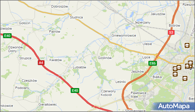 mapa Goślinów, Goślinów na mapie Targeo