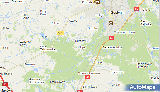 mapa Lipa gmina Gostynin, Lipa gmina Gostynin na mapie Targeo
