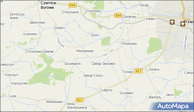 mapa Toki gmina Czernice Borowe, Toki gmina Czernice Borowe na mapie Targeo