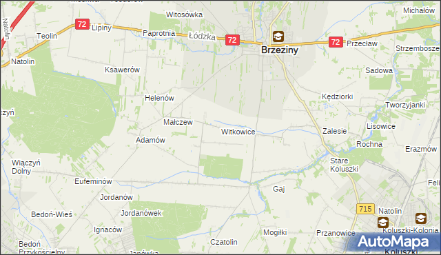 mapa Witkowice gmina Brzeziny, Witkowice gmina Brzeziny na mapie Targeo