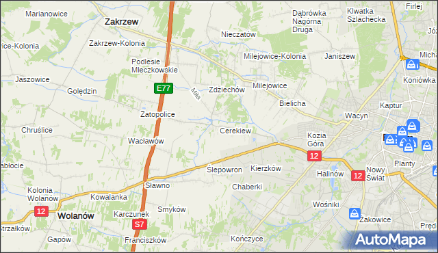 mapa Cerekiew gmina Zakrzew, Cerekiew gmina Zakrzew na mapie Targeo