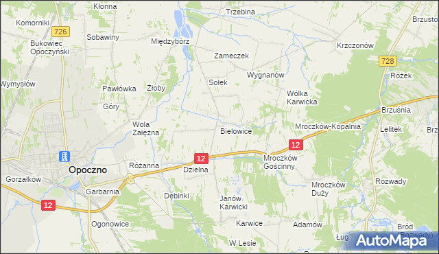 mapa Bielowice gmina Opoczno, Bielowice gmina Opoczno na mapie Targeo