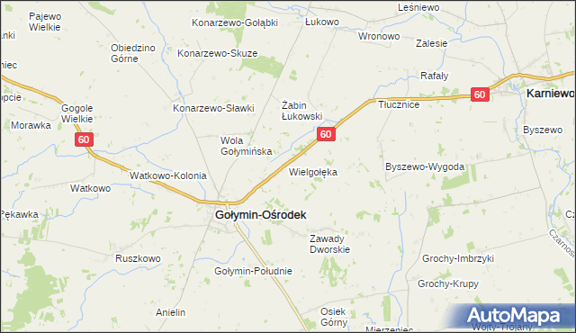 mapa Wielgołęka, Wielgołęka na mapie Targeo