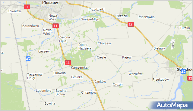 mapa Cieśle gmina Gołuchów, Cieśle gmina Gołuchów na mapie Targeo