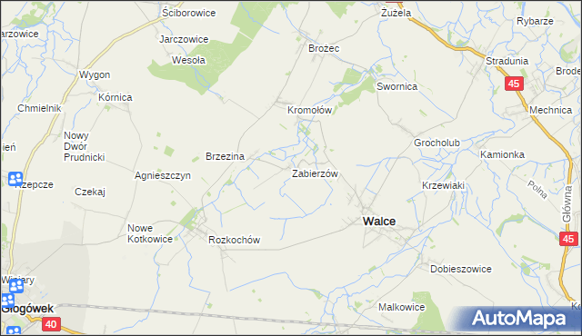 mapa Zabierzów gmina Walce, Zabierzów gmina Walce na mapie Targeo