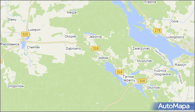 mapa Jodłów gmina Nowa Sól, Jodłów gmina Nowa Sól na mapie Targeo