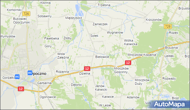 mapa Bielowice gmina Opoczno, Bielowice gmina Opoczno na mapie Targeo