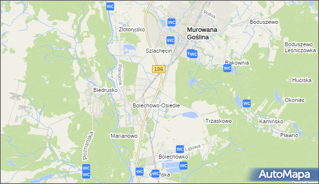 mapa Bolechowo gmina Czerwonak, Bolechowo gmina Czerwonak na mapie Targeo