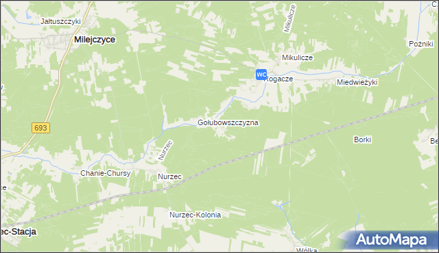mapa Borowiki, Borowiki na mapie Targeo