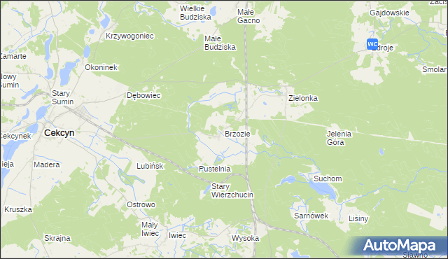 mapa Brzozie gmina Cekcyn, Brzozie gmina Cekcyn na mapie Targeo