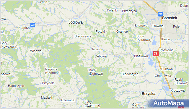mapa Dębowa gmina Jodłowa, Dębowa gmina Jodłowa na mapie Targeo