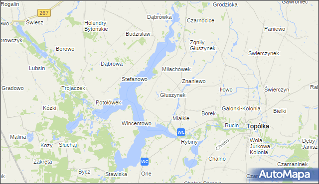 mapa Głuszynek, Głuszynek na mapie Targeo