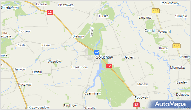 mapa Gołuchów powiat pleszewski, Gołuchów powiat pleszewski na mapie Targeo